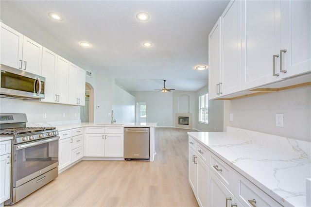 29619 ALLEGRO DRIVE, Wesley Chapel, FL 33543