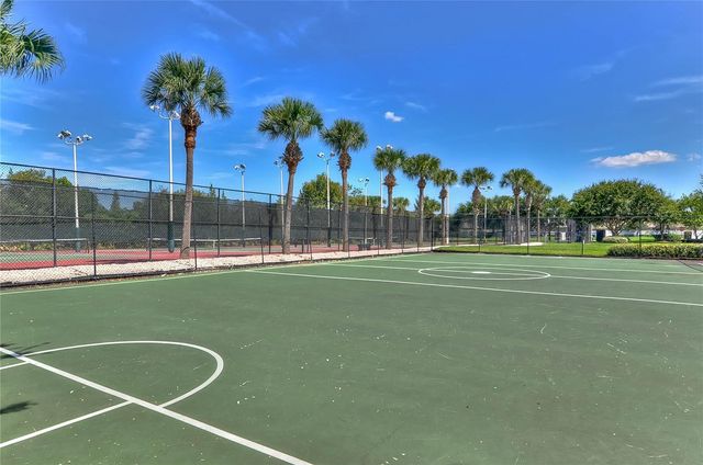 29619 ALLEGRO DRIVE, Wesley Chapel, FL 33543