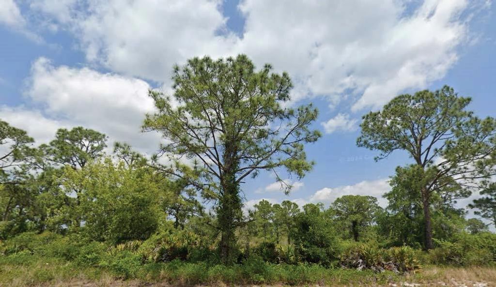 Image 1 of property listing at 1824 WASHINGTON BOULEVARD NW, Lake Placid, FL 33852