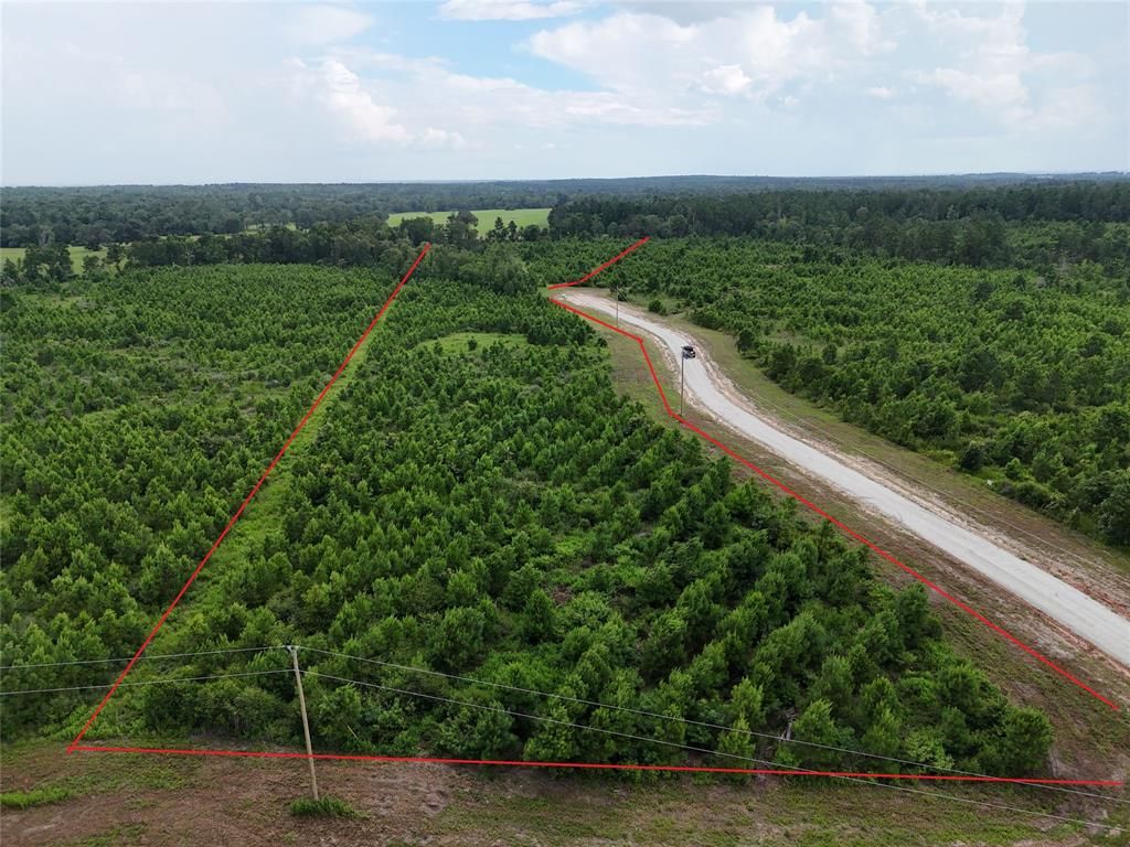 TBD Leon Lane, Lovelady, TX 75851