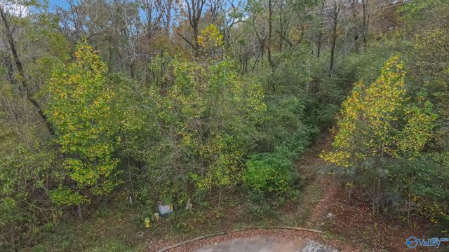 4623 Legacy Preserve Way SE, Brownsboro, AL 35741