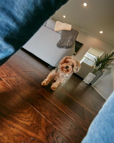 13408 BEEBE ALLEY, Orlando, FL 32827