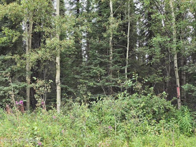 34350 Browns Lake Road, Soldotna, AK 99669