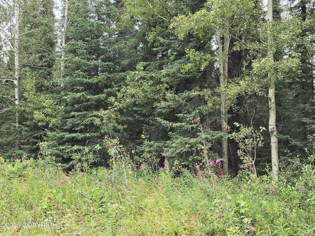 34350 Browns Lake Road, Soldotna, AK 99669