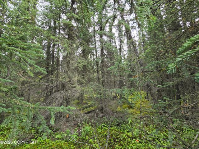 34350 Browns Lake Road, Soldotna, AK 99669