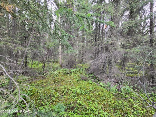 34350 Browns Lake Road, Soldotna, AK 99669