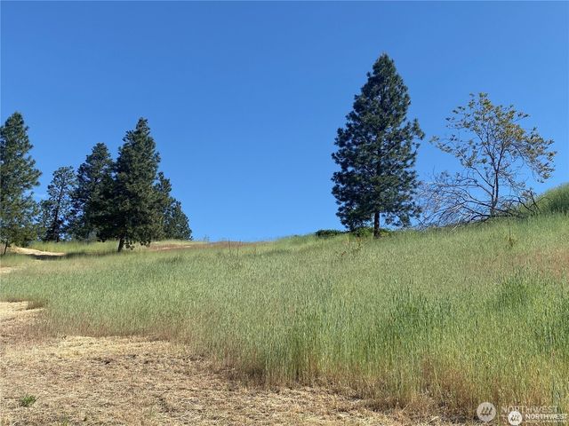 2524 Lakeshore Drive, Manson, WA 98831