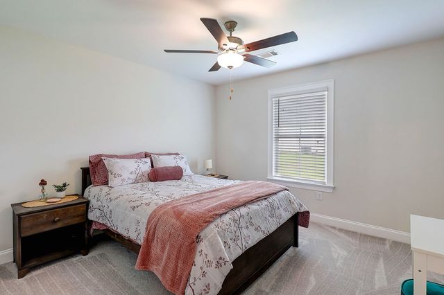 775 Sandbed Road, Newton, AL 36352