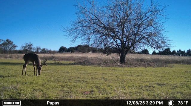 1634 Business 78, Farmersville, TX 75442