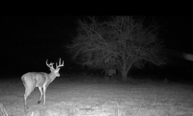 1634 Business 78, Farmersville, TX 75442
