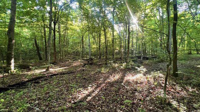 7 Mile Ridge Road, Indian Mound, TN 37079