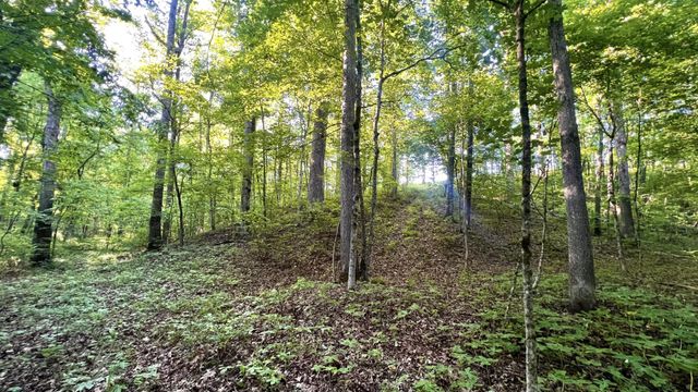 7 Mile Ridge Road, Indian Mound, TN 37079