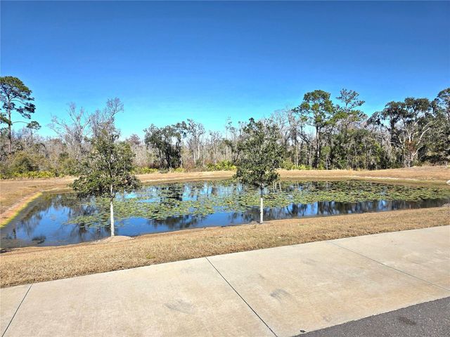 2333 PENGUIN BOULEVARD, Davenport, FL 33837