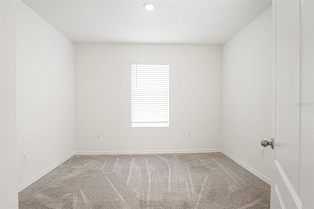 11364 AMBER RIDGE DRIVE, Zellwood, FL 32798