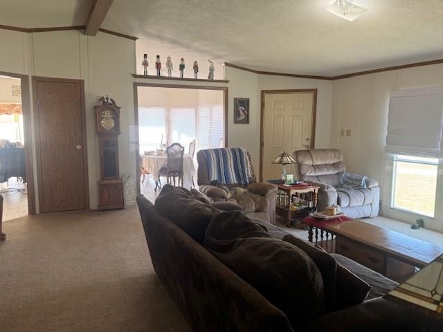 3060 FM 1712, Rockdale, TX 76567