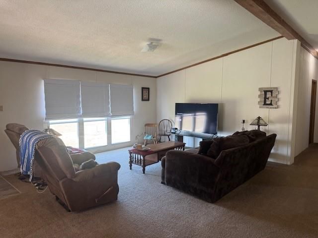 3060 FM 1712, Rockdale, TX 76567