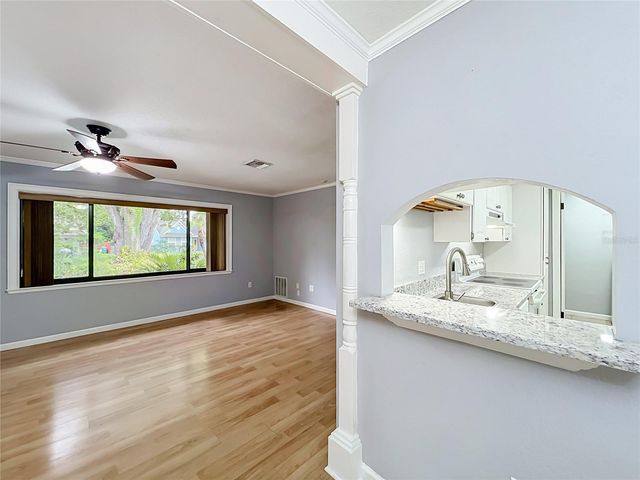 300 PINECREST ROAD, Mount Dora, FL 32757