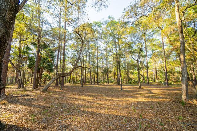 8600 NE 147TH AVENUE ROAD, Silver Springs, FL 34488