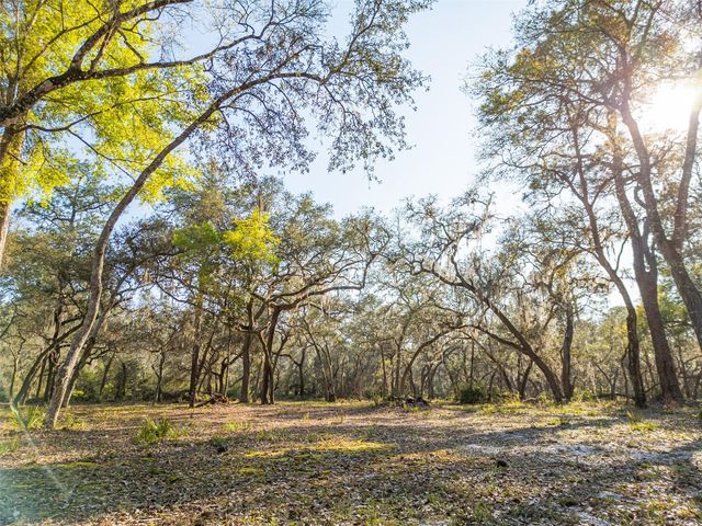 8600 NE 147TH AVENUE ROAD, Silver Springs, FL 34488