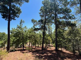 lot 666 Honopupu DR, Bastrop, TX 78602