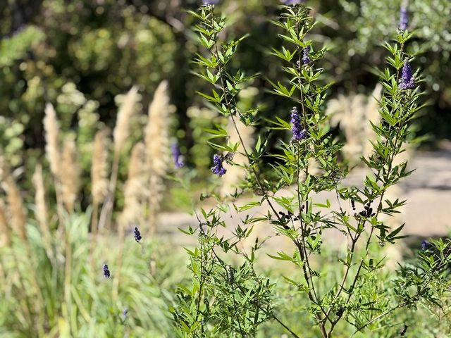 204 N Aqua Vista Dr, Kerrville, TX 78028