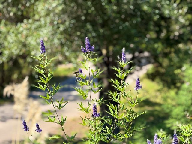 204 N Aqua Vista Dr, Kerrville, TX 78028