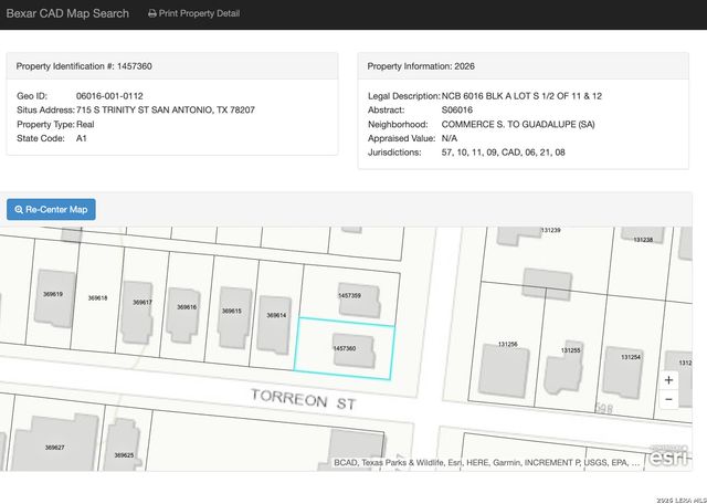 715 S TRINITY ST, San Antonio, TX 78207