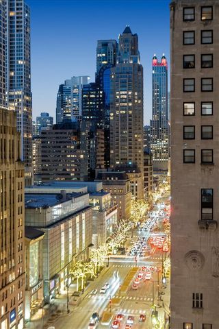 435 N Michigan Avenue 1203, Chicago, IL 60611