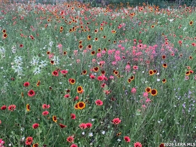 225 Quail Run, Lytle, TX 78052