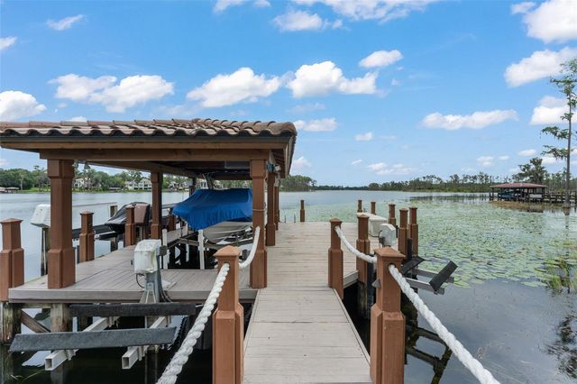 6055 LOUISE COVE DRIVE, Windermere, FL 34786