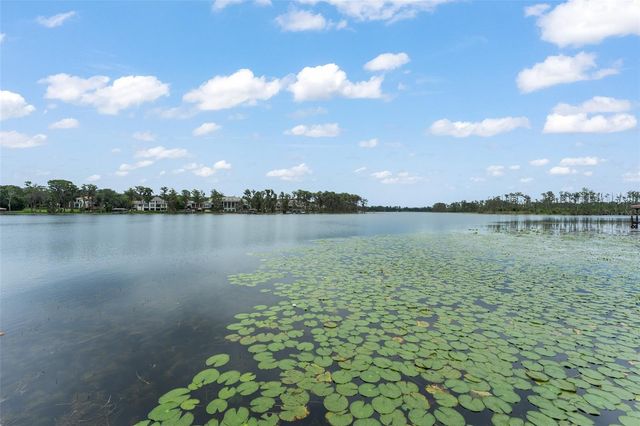 6055 LOUISE COVE DRIVE, Windermere, FL 34786