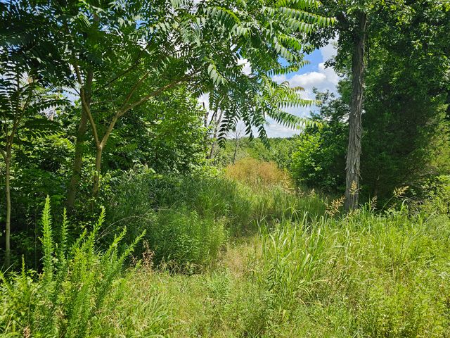 3486 N Farm Road 143, Springfield, MO 65803