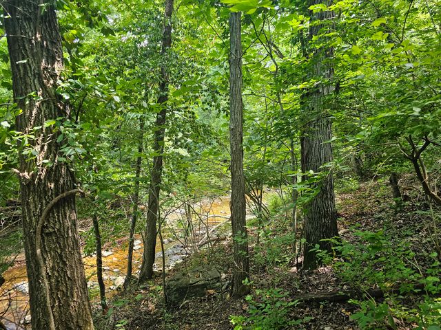 3486 N Farm Road 143, Springfield, MO 65803