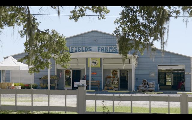 617 Du Bois Drive, Johns Island, SC 29455