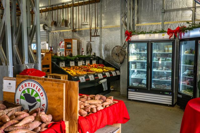 617 Du Bois Drive, Johns Island, SC 29455