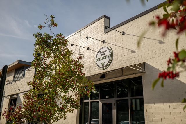 617 Du Bois Drive, Johns Island, SC 29455