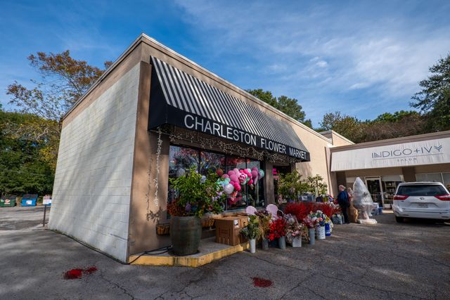 617 Du Bois Drive, Johns Island, SC 29455