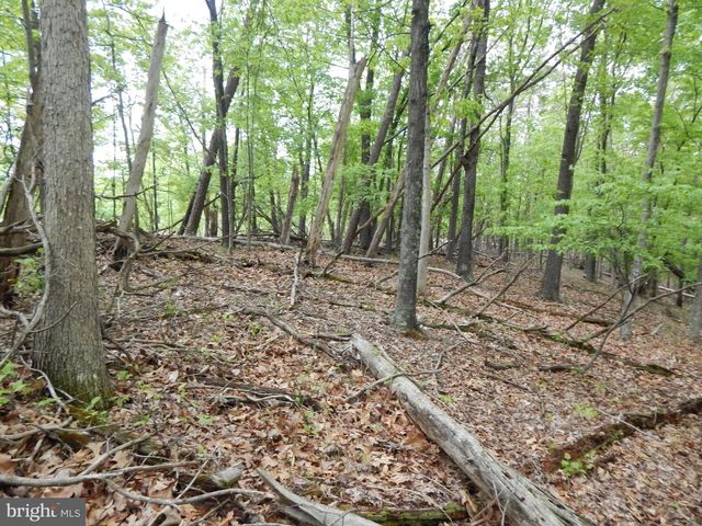 PLUM TREE LANE, Berkeley Springs, WV 25411