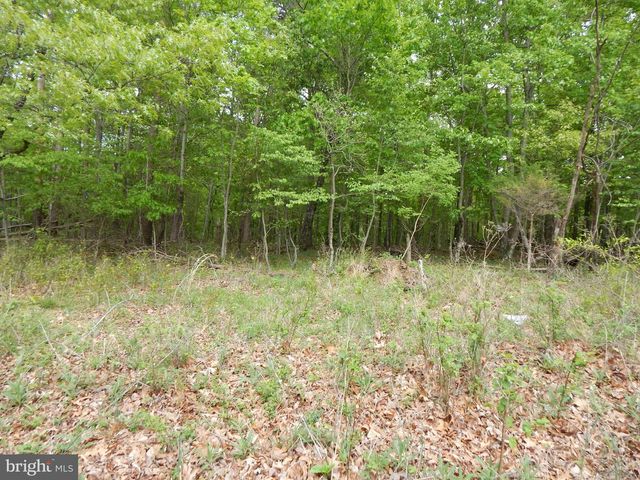 PLUM TREE LANE, Berkeley Springs, WV 25411