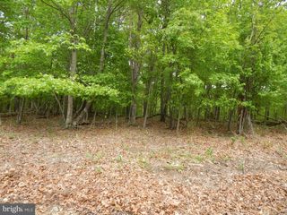 PLUM TREE LANE, Berkeley Springs, WV 25411
