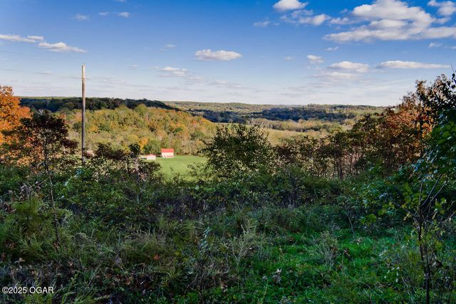 232 Old Joe Mills Lane, Pineville, MO 64856