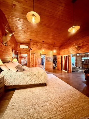 180 Harris Road, Harris, NY 12742
