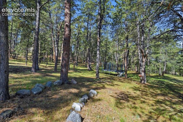 20470 Lockridge Drive, Colorado Springs, CO 80908
