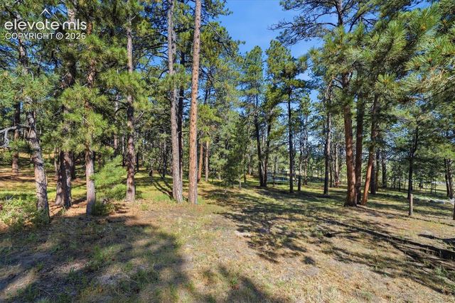 20470 Lockridge Drive, Colorado Springs, CO 80908