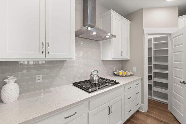 219 Lucca Drive, Summerville, SC 29486