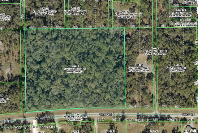 10.3 Acres Wiscon Road, Brooksville, FL 34601