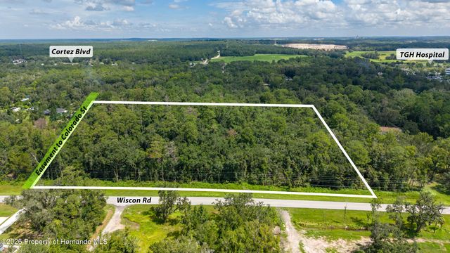 10.3 Acres Wiscon Road, Brooksville, FL 34601