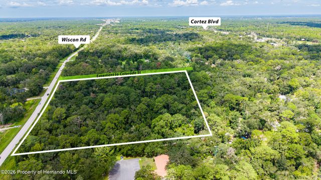 10.3 Acres Wiscon Road, Brooksville, FL 34601