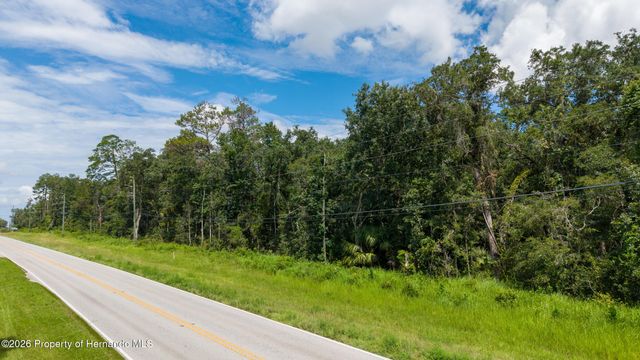 10.3 Acres Wiscon Road, Brooksville, FL 34601