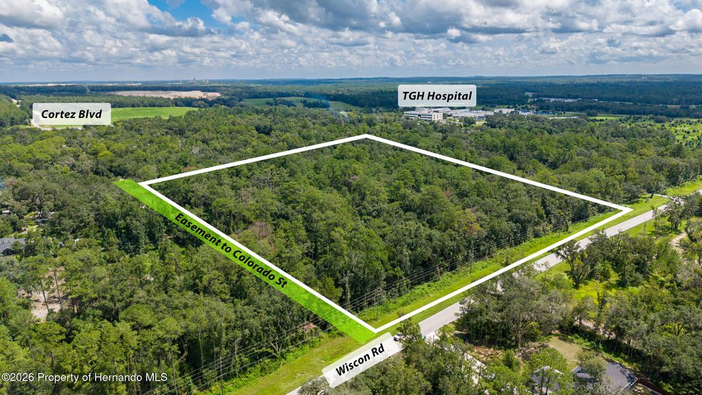10.3 Acres Wiscon Road, Brooksville, FL 34601